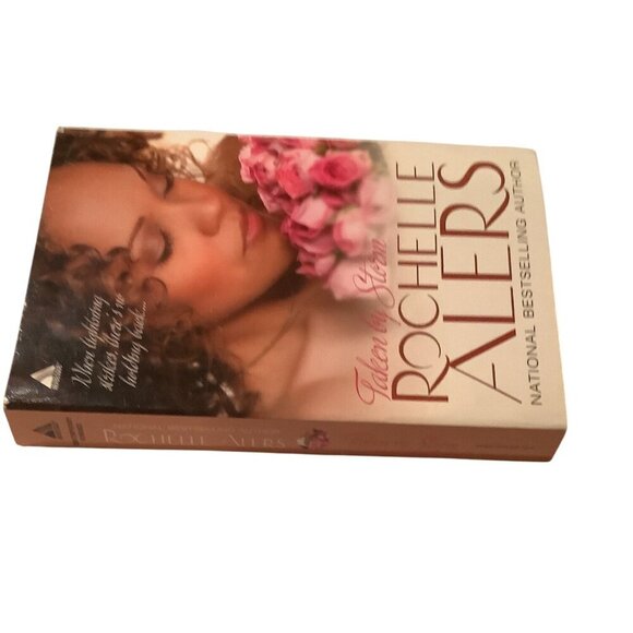 Taken By Storm By Rochelle Alers Paperback 2008 Romance Novel - Picture 8 of 8